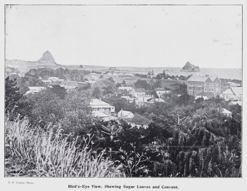 ニュージーランドのニュープリマス。鳥瞰図、Shewing Sugar LoavesとConvent（モノクロ写真 作： ニュージーランドの写真家