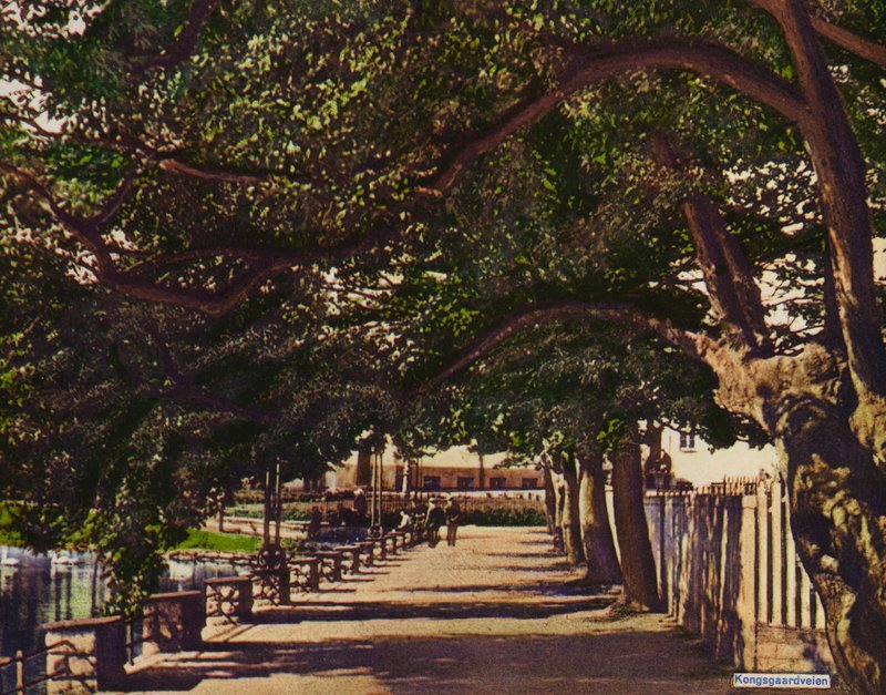 Stavenger: Kongsgaardveien (写真) 作： ノルウェーの写真家