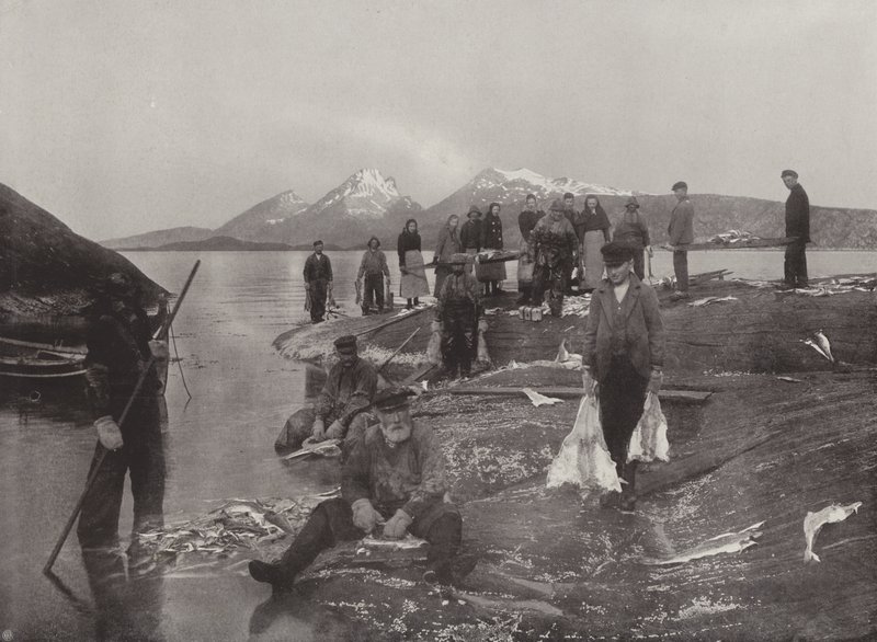 クリップフィッシュの洗浄 作： ノルウェーの写真家