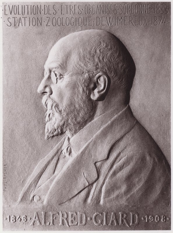アルフレッド・ジャード（1846-1908）動物学者、肖像（リトグラフ 作： ポール・マリー・ルイ・ピエール・リッシャー