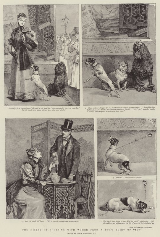 犬の視点から見た女性との買い物の悲惨さ 作： パーシーマクコイド