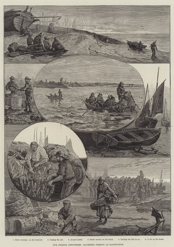 Our Fishing Industries, Mackerel Fishing at Eastbourne (Engraving) 作： パーシーロバートクラフト