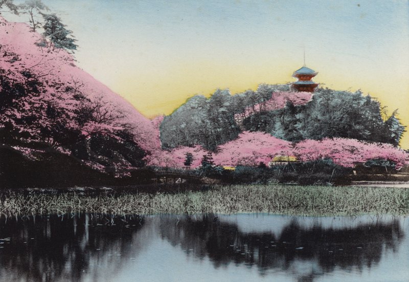 日本、1912年頃。横浜・本牧の原氏のプライベートガーデン「三渓園」（写真 作： 写真家日本人