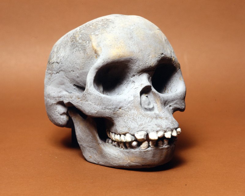 Prehistoric_Prehistoric_-