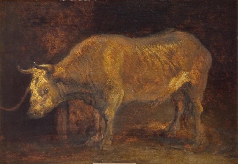 Rembrandts_skole_-