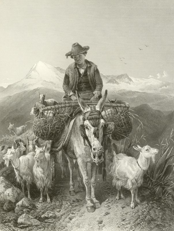 グラナダのGoatherd 作： リチャード・アンスデル