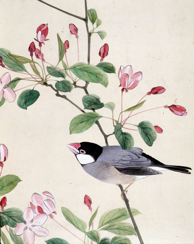 日本画 鳥と草の絵 160cm x 90cm Riu_Chim_-_Bird_-