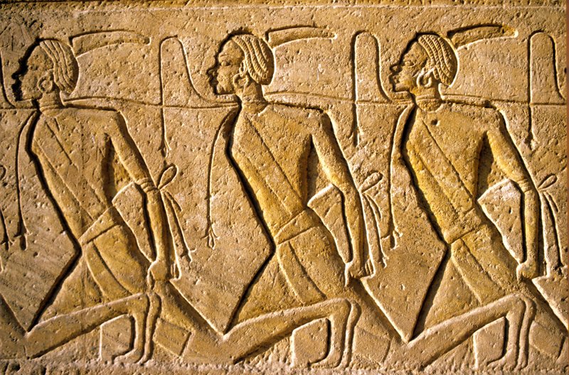 School_Egyptian_-