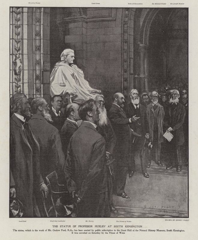 ロンドンのサウスケンジントンにある自然史博物館の大ホールにあるThomas Henry Huxley教授の銅像（リトグラフ 作： シドニーパジェット