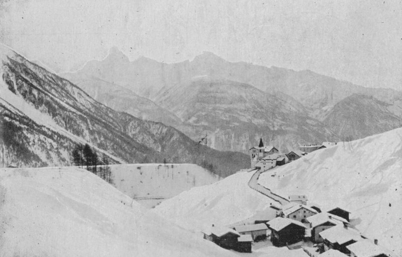 Meadows pres Davos（モノクロ写真 作： スイスの写真家