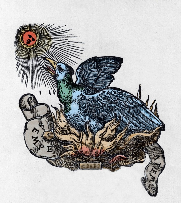 Unknown_Artist_-