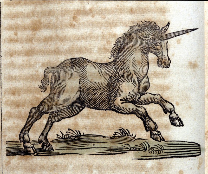 Unknown_artist_-