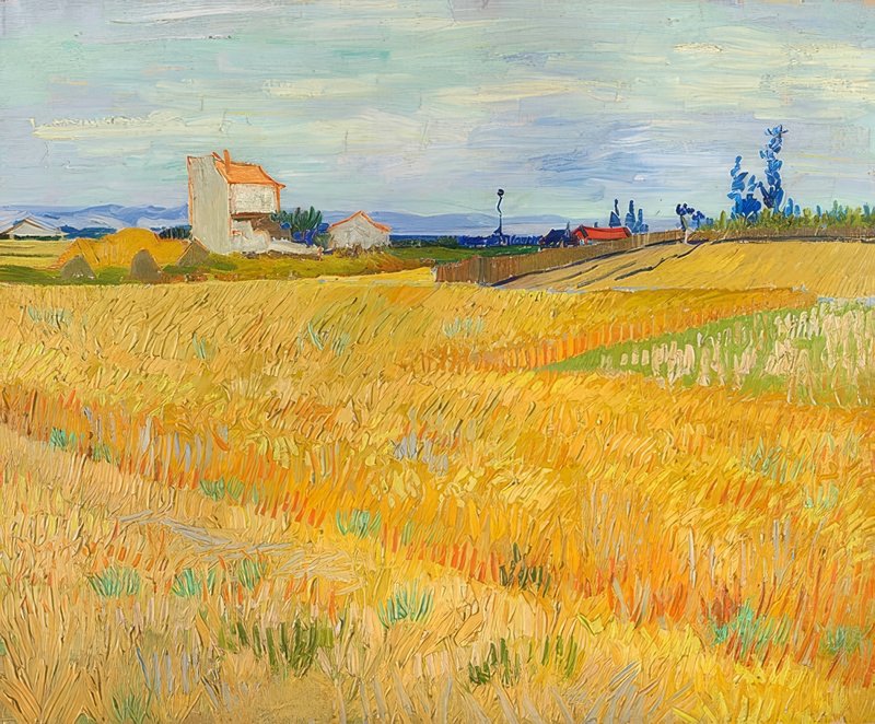 油絵 絵画 【ポインセチア畑】 Vincent_van_Gogh_-_Weizenfeld_