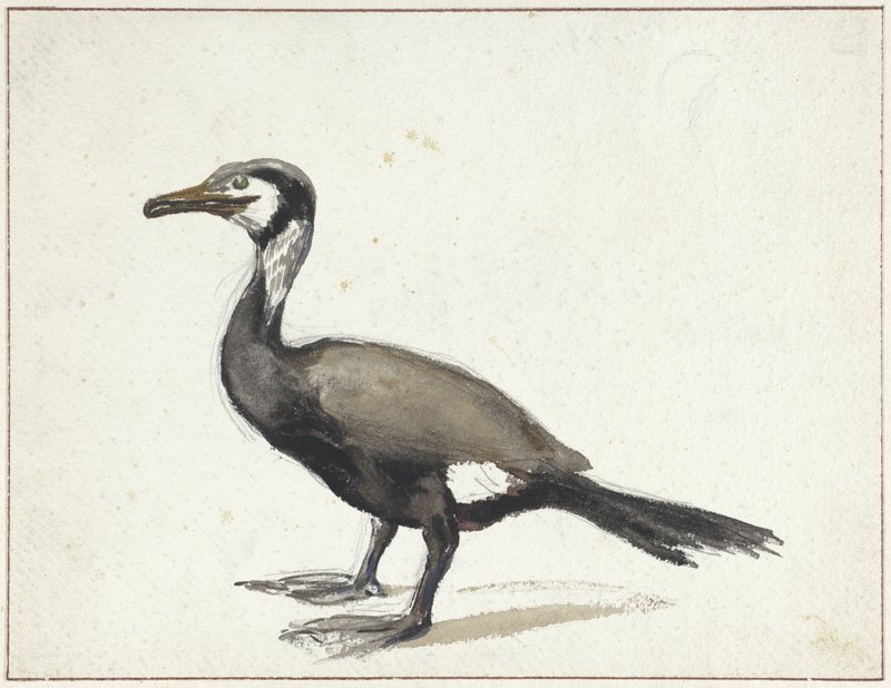 ウィレム・ルーロフス　Willem Roelofs オランダ画家　版画家 絵画 鵜 | ウィレム・ルーロフス（I）
