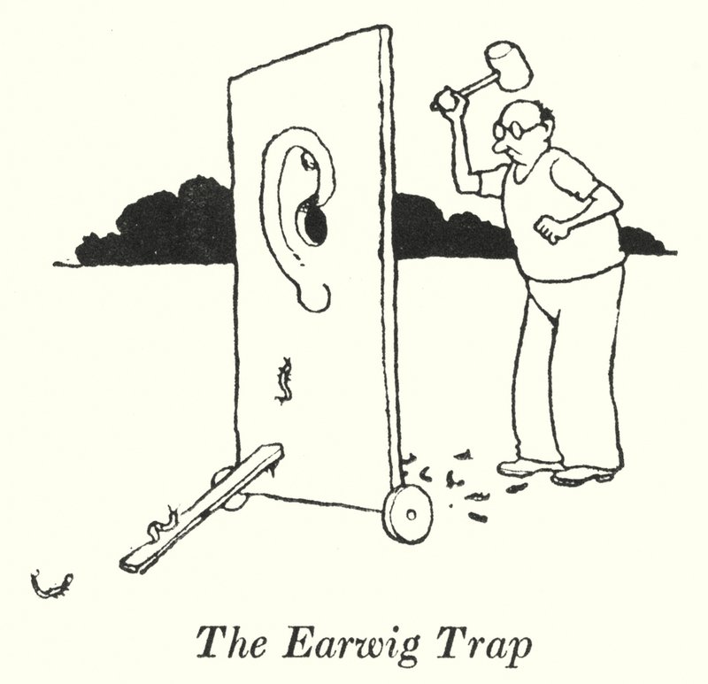 The Earwig Trap（リトグラフ 作： ウィリアムヒースロビンソン