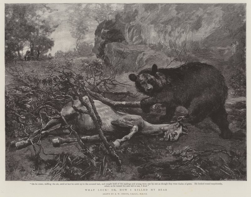 なんて運だ！または、クマを殺した方法 作： ウィリアム・ストラット