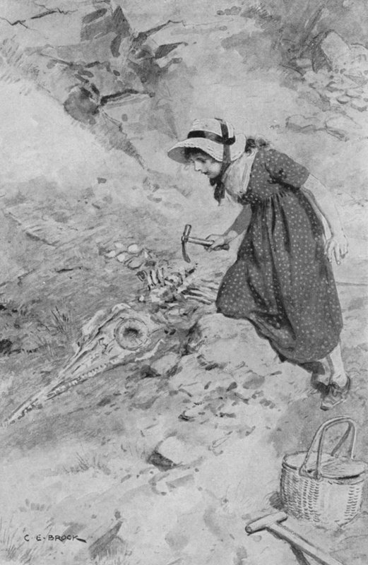 【返品交換不可】 イギリスで発見された最初のイクチオサウルスに出会った12歳の 版画