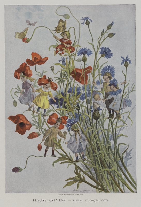 フルールAnimees。 Bluets et Coquelicots。 （生花：ヤグルマギクとポピー） 作： Firmin Bouissetの後