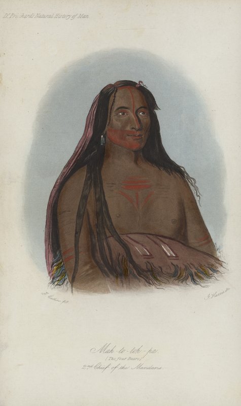 Mah-to-toh-pa、The Four Bears、2nd Chief of the Mandans（アクアチント） 作： ジョージ・カトリンの後