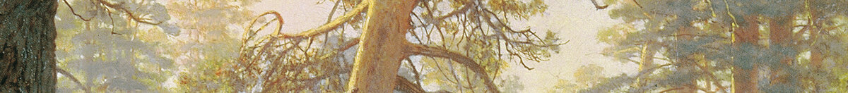 松林の朝 (Ivan Ivanovich Shishkin), Detail: Morgenlicht im Nebel