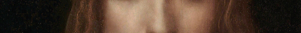 サルバトール・ムンディ (Leonardo da Vinci), Detail: Gesicht Christi