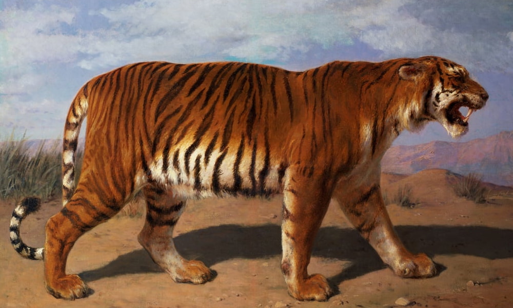 野生動物