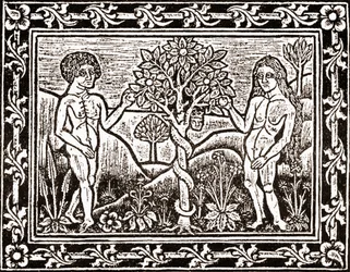 1481年にラングドックのアルビで印刷された最初の本である、瞑想の本からのファクシミリー。