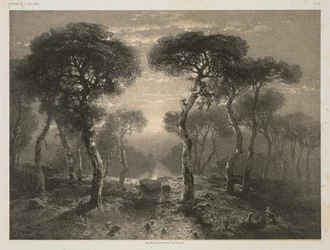 A. カラメの作品、No. 13: ヴァレー州のシエールの森、1843 年発行、1851 年。