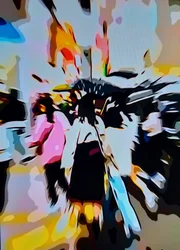 バング市