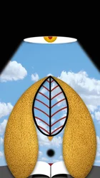 思慮深い光