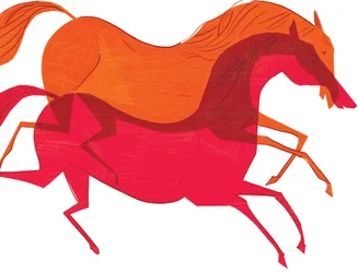 馬、2008年