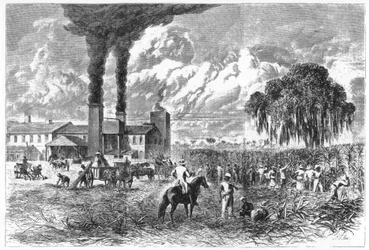 シュガープランテーション、ニューオーリンズ、1870年。