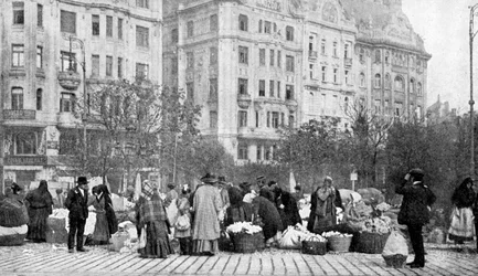 花の素晴らしい市場、ブダペスト、ハンガリー、1922年。