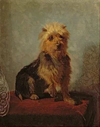 チャドウィック犬、1874