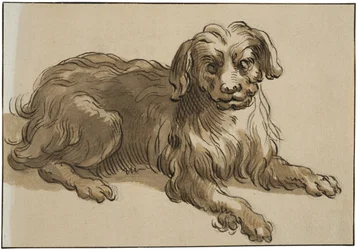 長毛の犬