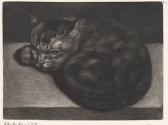 眠る猫