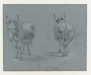 前と後ろから見たロバの 2 つの習作