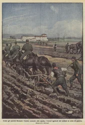 古代ローマのように、剣の横にあるララトロ