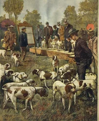 サン・シーロ（ミラノ）で行われた狩猟犬のドッグショーとフィールドトライアル、Achille Beltrame（1871-1945）作、1899年7月2日のLa Domenica del Corriereより。