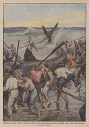 巨大なサメが立ち往生し、オールストロークで殺されたメッシーナ海峡での嵐。