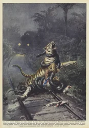 インドの森の真ん中で、線路近くで電車を待つ男