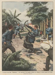 キーパーを解放するための収縮ブイと動物園係員の間の闘争？