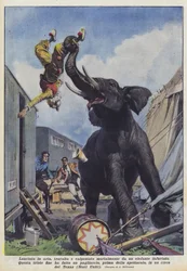 空中に投げ込まれ、怒りの象に圧倒され、必死に踏みにじられる