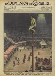 最新のアメリカの奇妙さ