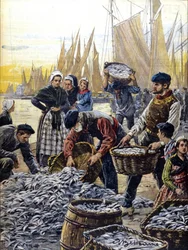 1903年、ブルターニュ地方のイワシ漁 イラスト：Achille Beltrame