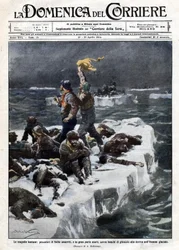 アザラシ漁師の中には死亡した者もいて、海の流氷の上に取り残されたままだった。Ill.de Beltrame."La Domenica del corriere".12-19/04/1914.