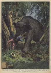 アフリカのジャングルの悲劇