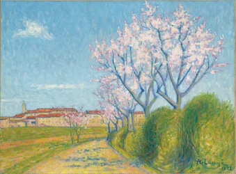 カイアヴェルの入り口にある花の咲く木