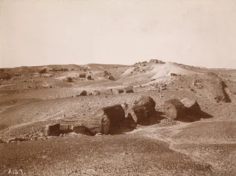 ペトリファイド・フォレストにて（全景、ミドル・パーク）1895-1897年頃（写真）