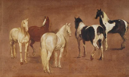 5頭の馬の習作